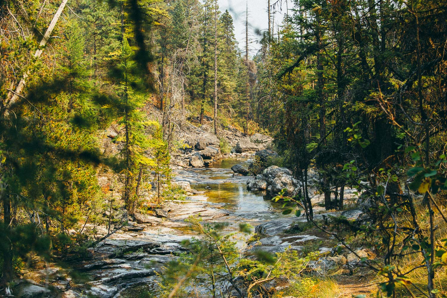 Hike to Bear Creek Falls