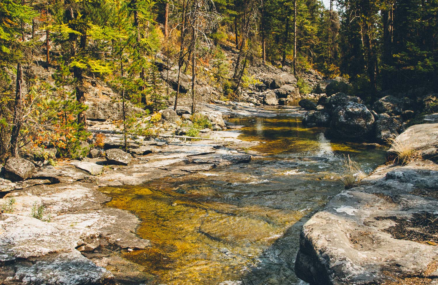 Hike to Bear Creek Falls