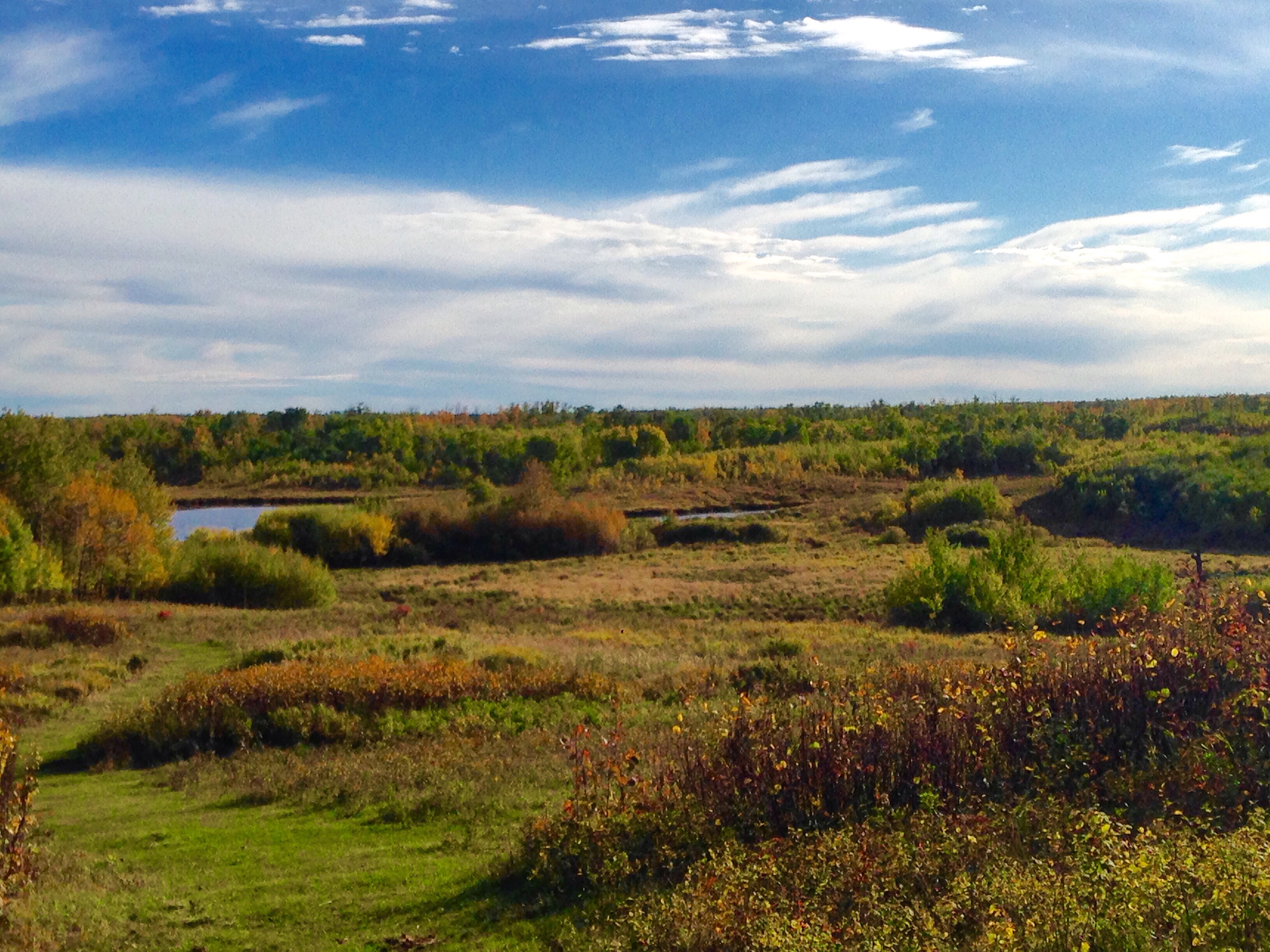 Bike Elk Island's Moss Lake Trail