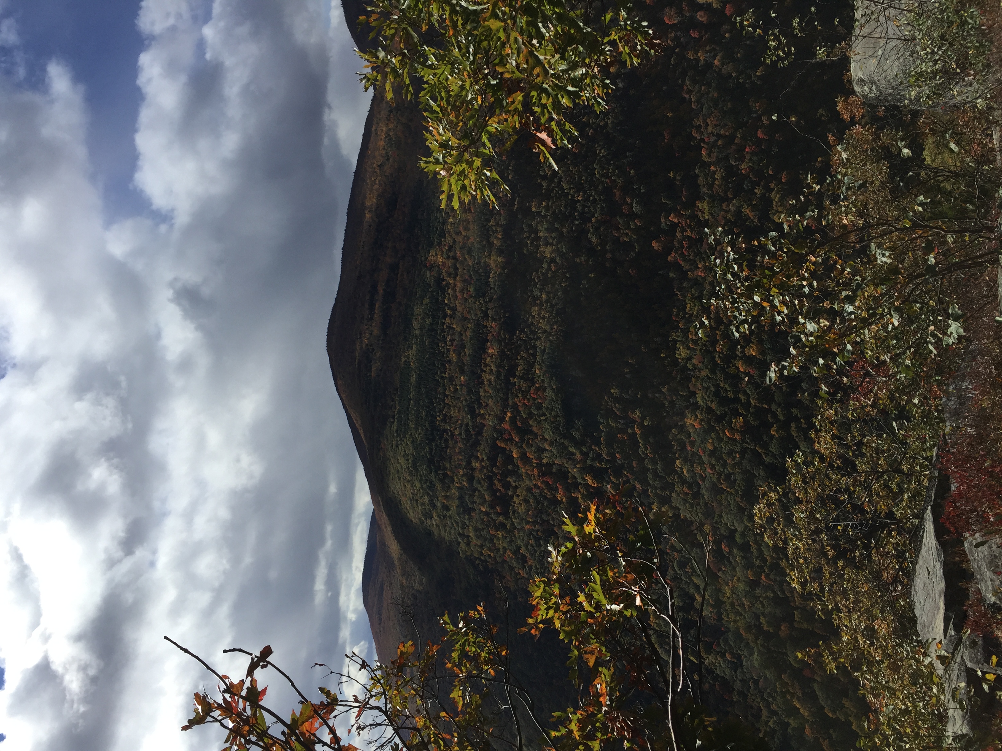 Hike to Huckleberry Point