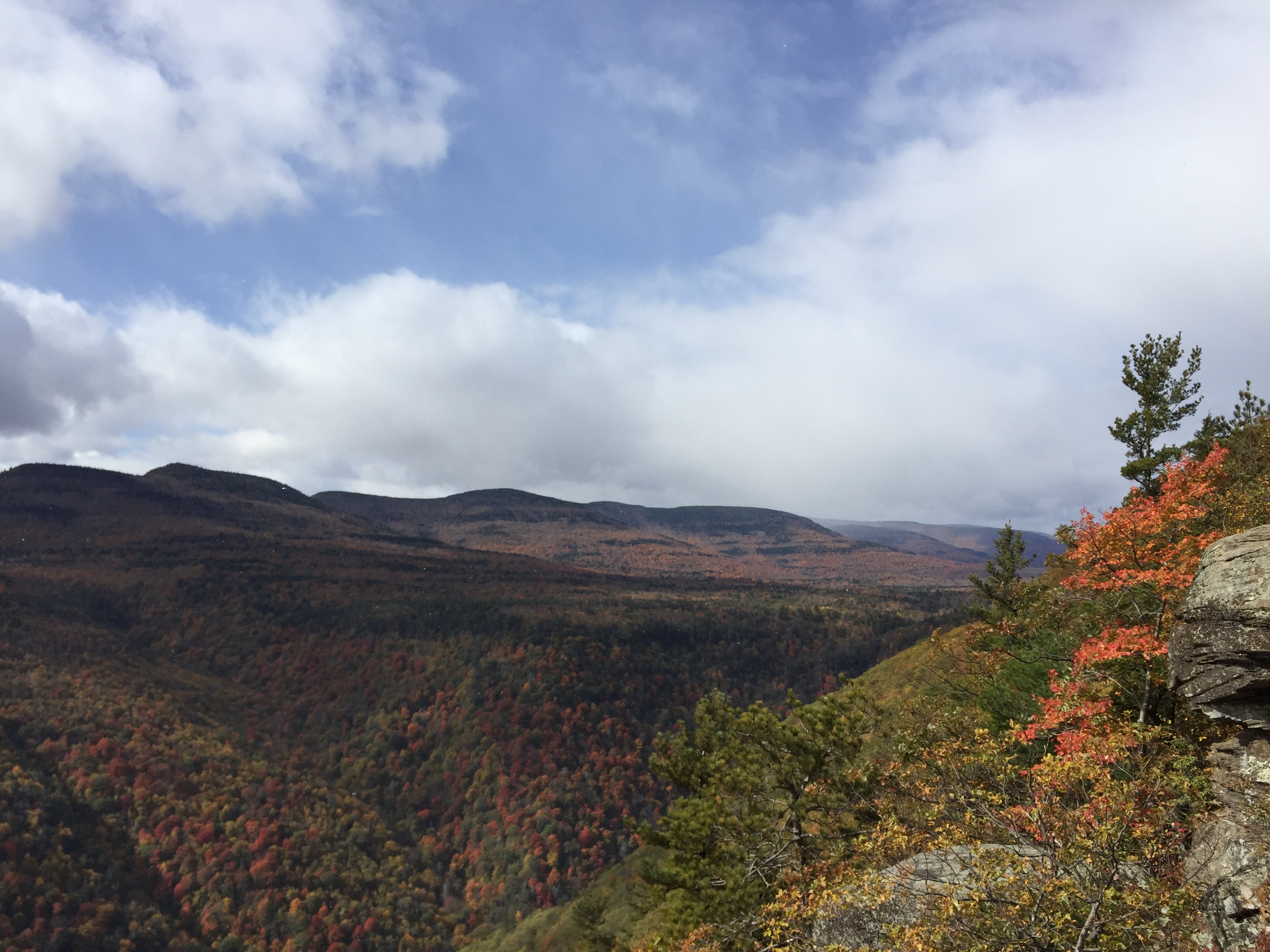 Hike to Huckleberry Point