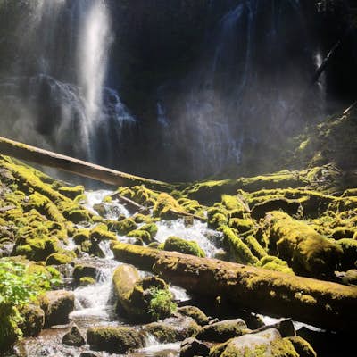 Hike Proxy falls, Oregon 