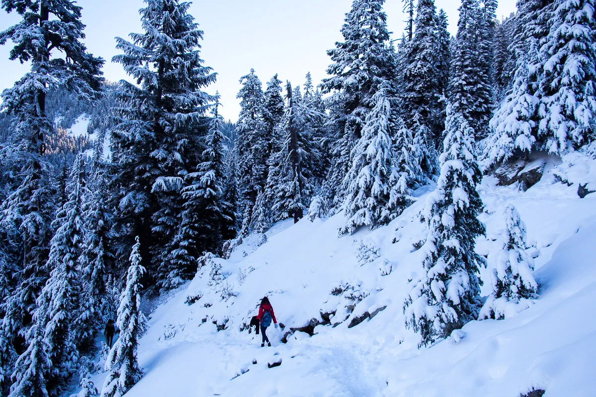 Winter Hike at Snow Lakes
