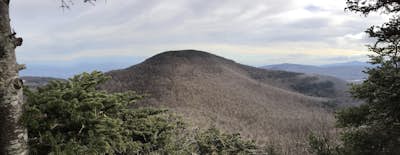 Hike The Blackhead Range (Blackhead, Black Dome, and Thomas Cole Peaks)