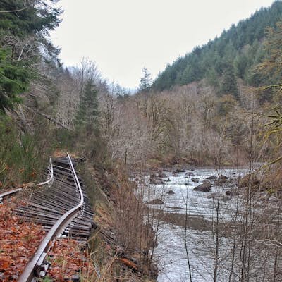 Hike the Salmonberry Train Track Trail