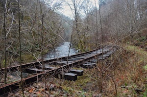 Hike the Salmonberry Train Track Trail