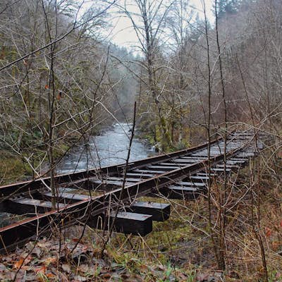 Hike the Salmonberry Train Track Trail
