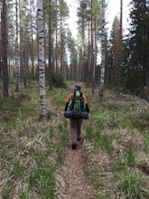 Hike in Evo Nature Park