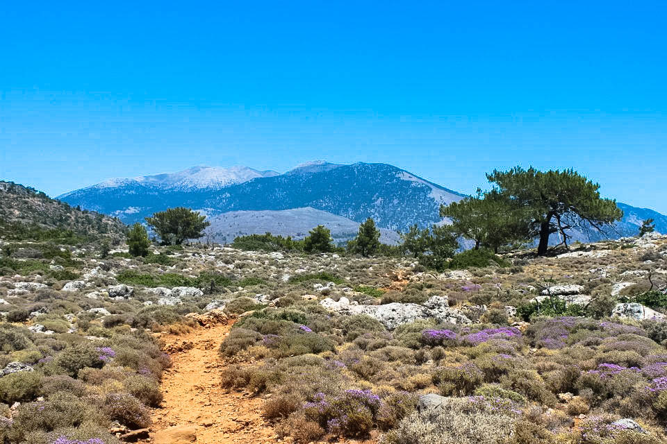 Hike to the Ancient City of Lissos