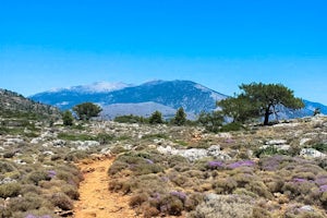 Hike to the Ancient City of Lissos