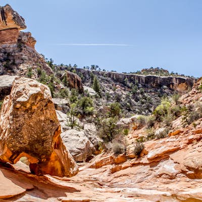 Backpack Great Gulch: Kane Gulch to Bullet Canyon 