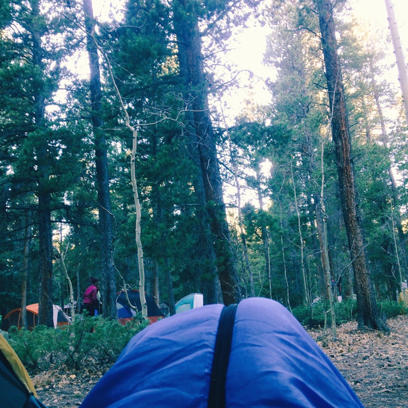 Photo of Pickle Gulch Campground