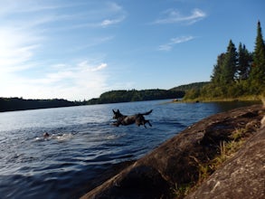 Camp at Penn Lake