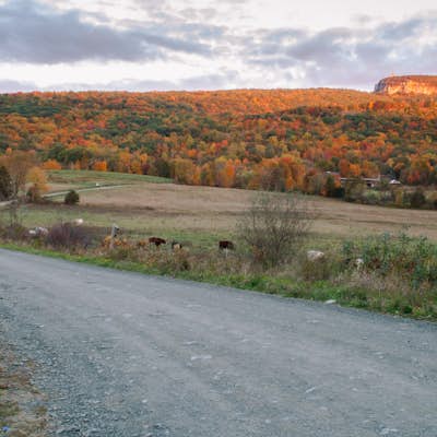 Hike Mohonk Preserve's Gatehouse to Skytop Tower