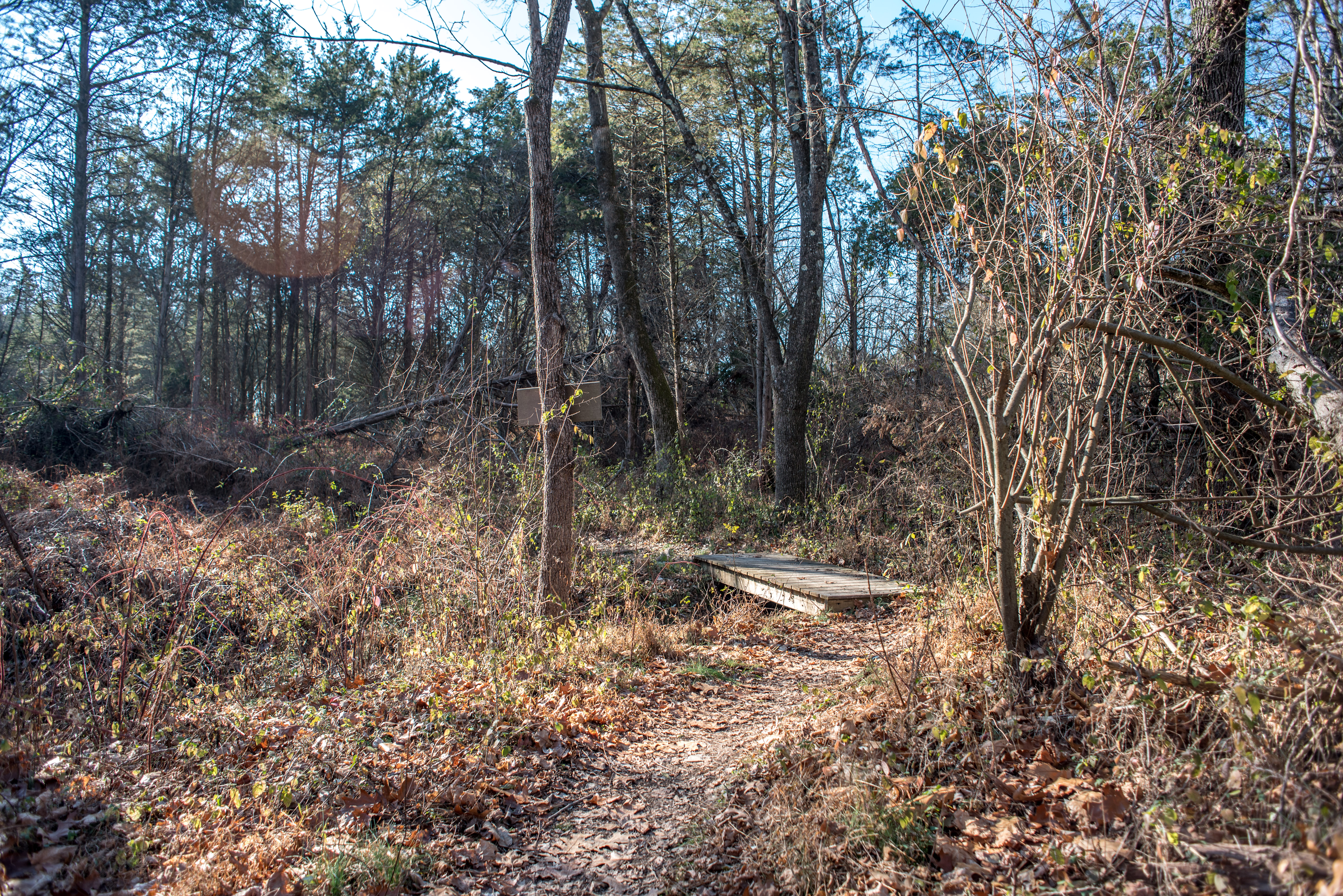 Mountain Bike Dry Run Creek Trail