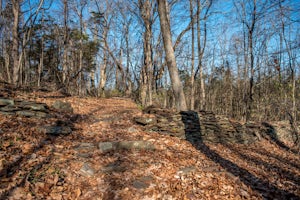 Mountain Bike Dry Run Creek Trail