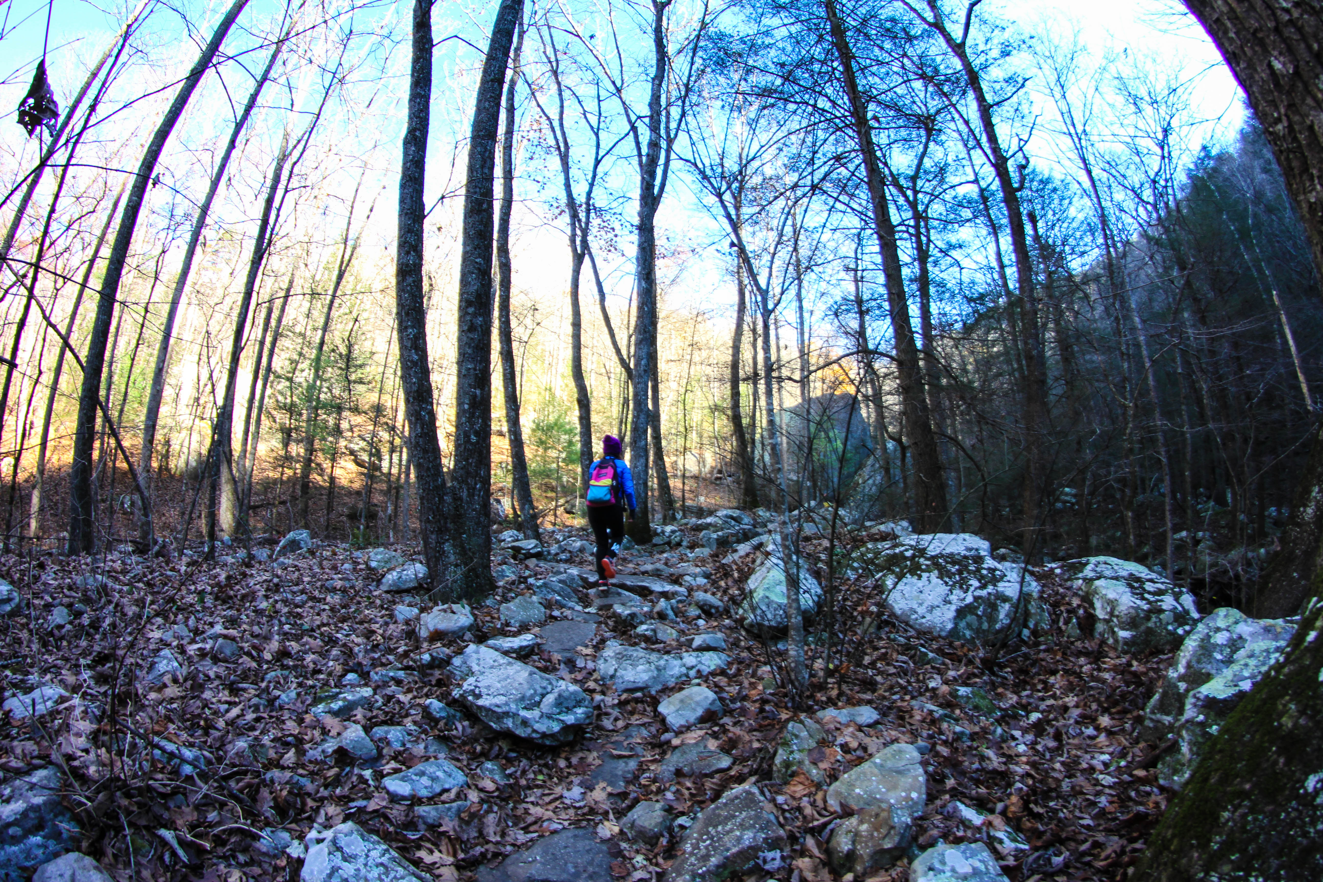 Hike through the Laurel Snow Pocket Wilderness