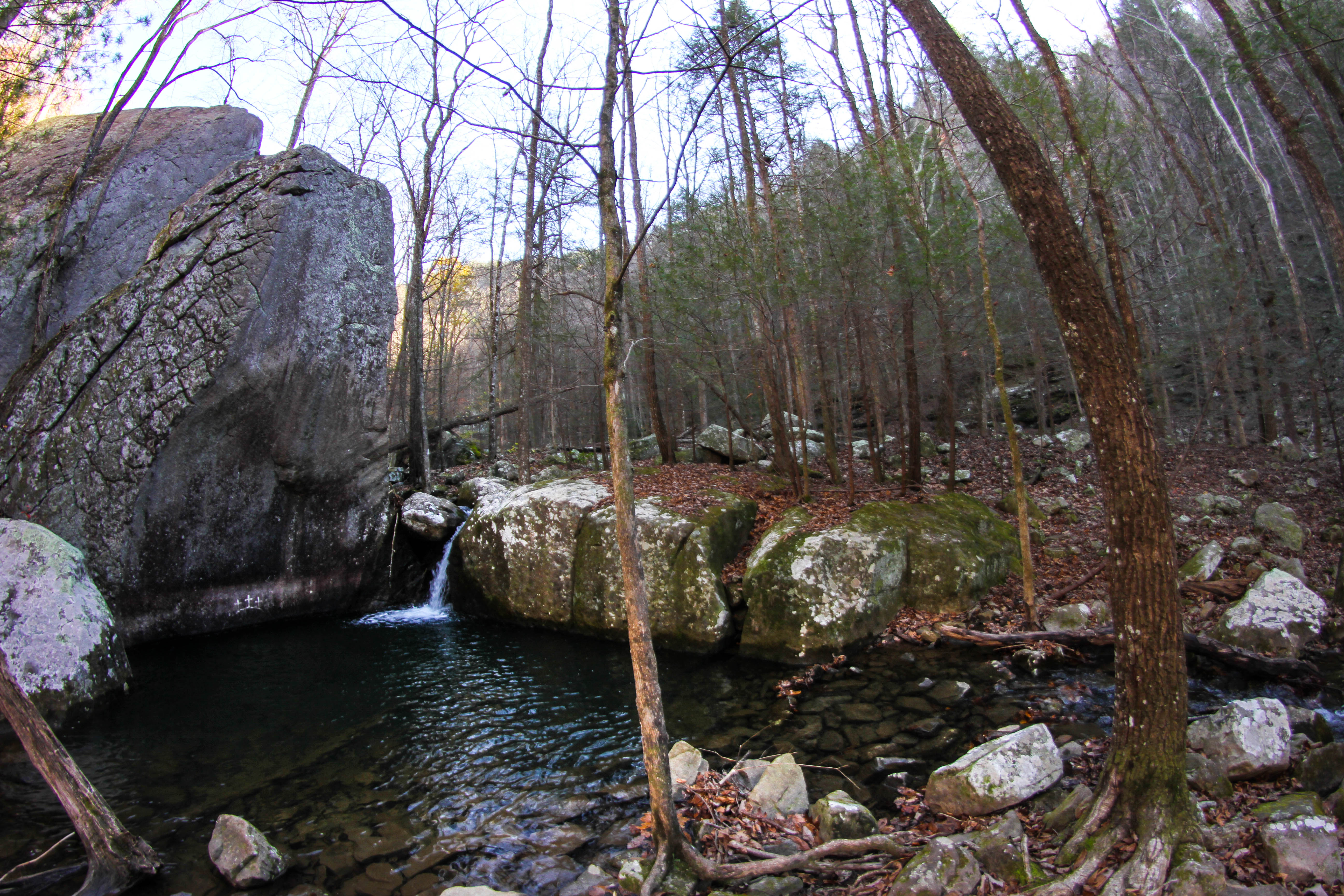 Hike through the Laurel Snow Pocket Wilderness