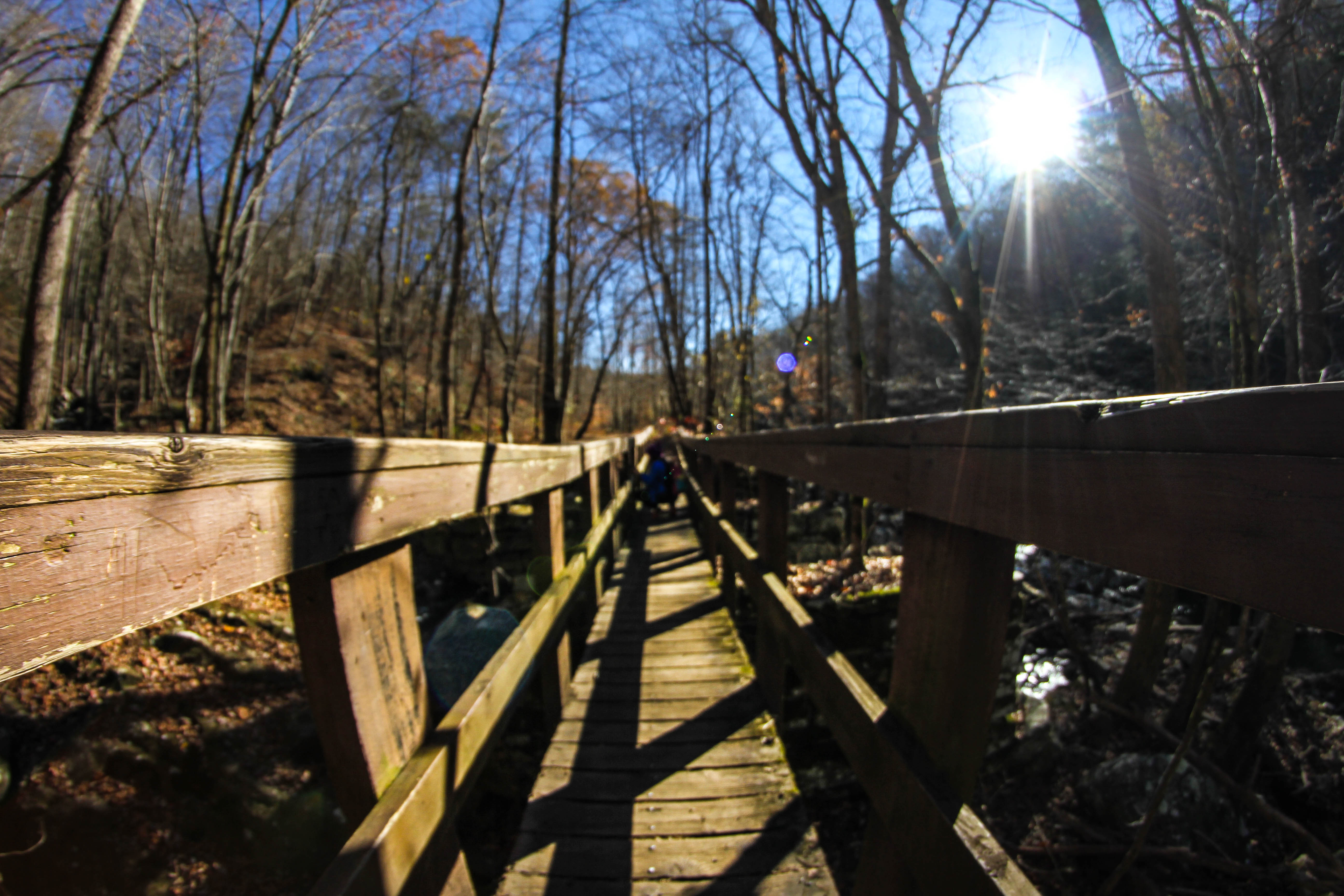 Hike through the Laurel Snow Pocket Wilderness