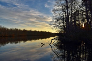 HIke the Bald Cypress Trail 