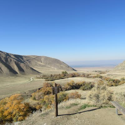Hike the San Emigdio Trail in the Wind Wolves Preserve