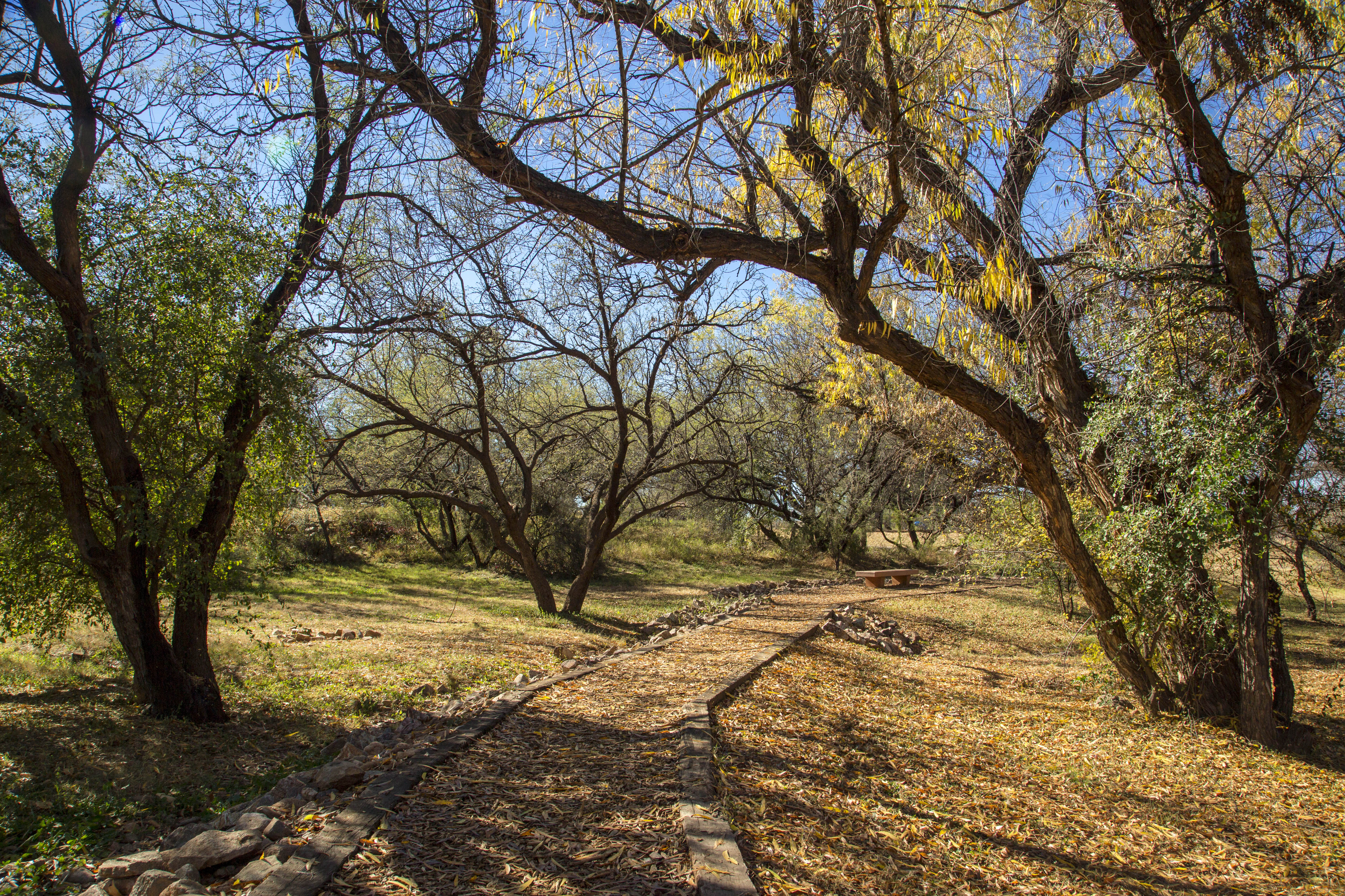 Camp at Patagonia Lake State Park
