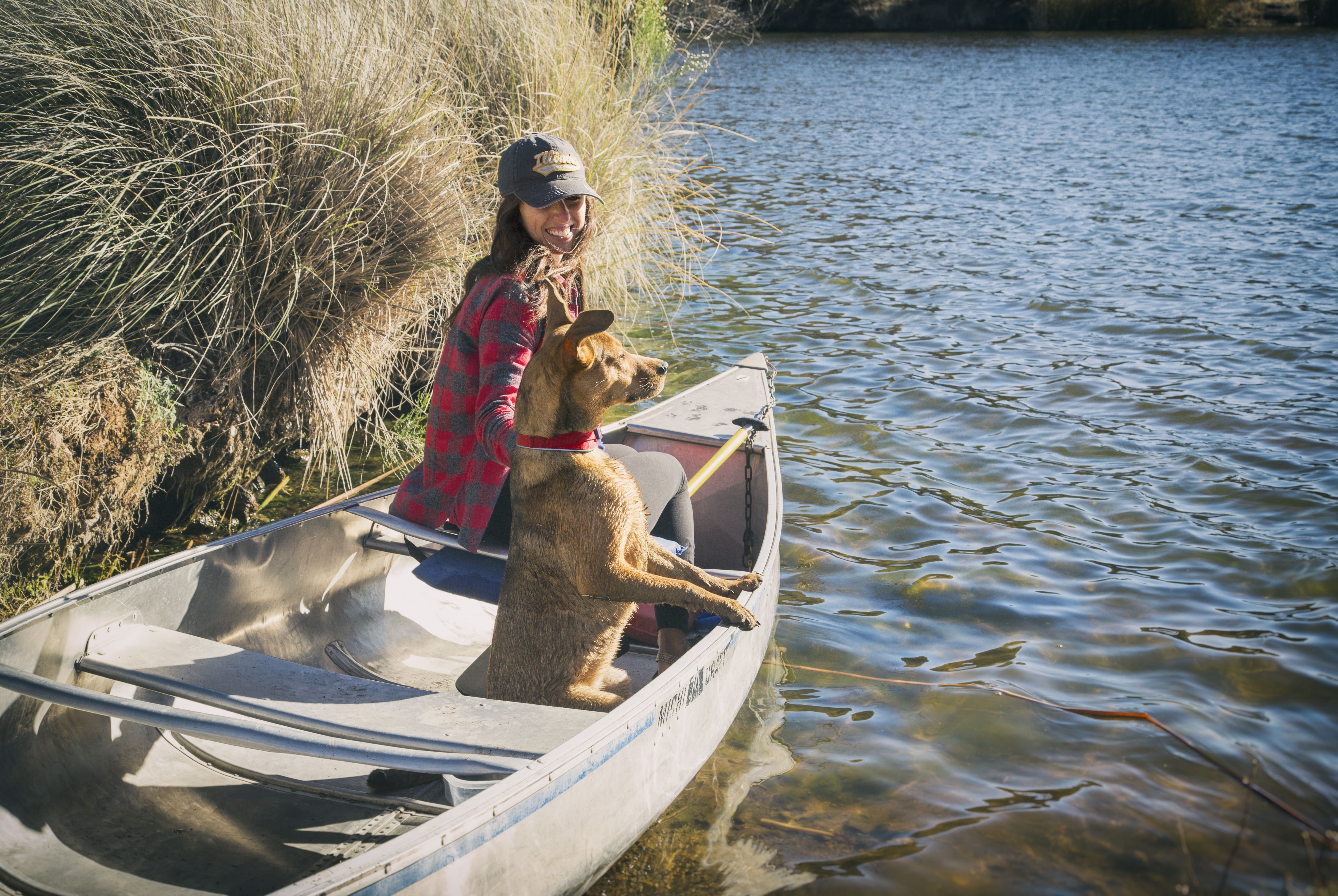 Camp at Patagonia Lake State Park