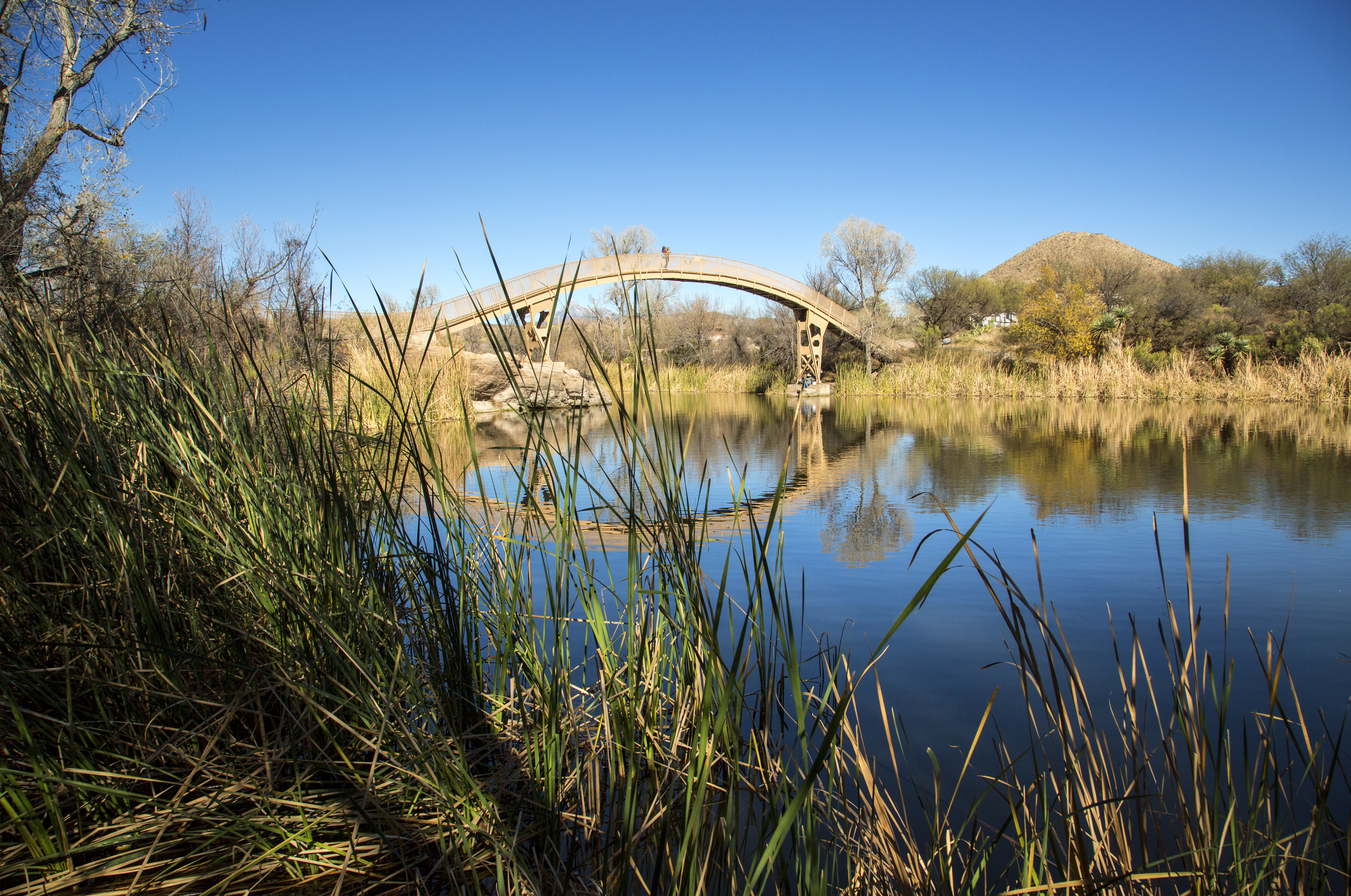Camp at Patagonia Lake State Park