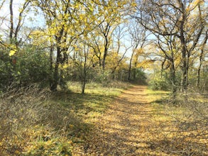 Arbor Hills Nature Preserve Loop