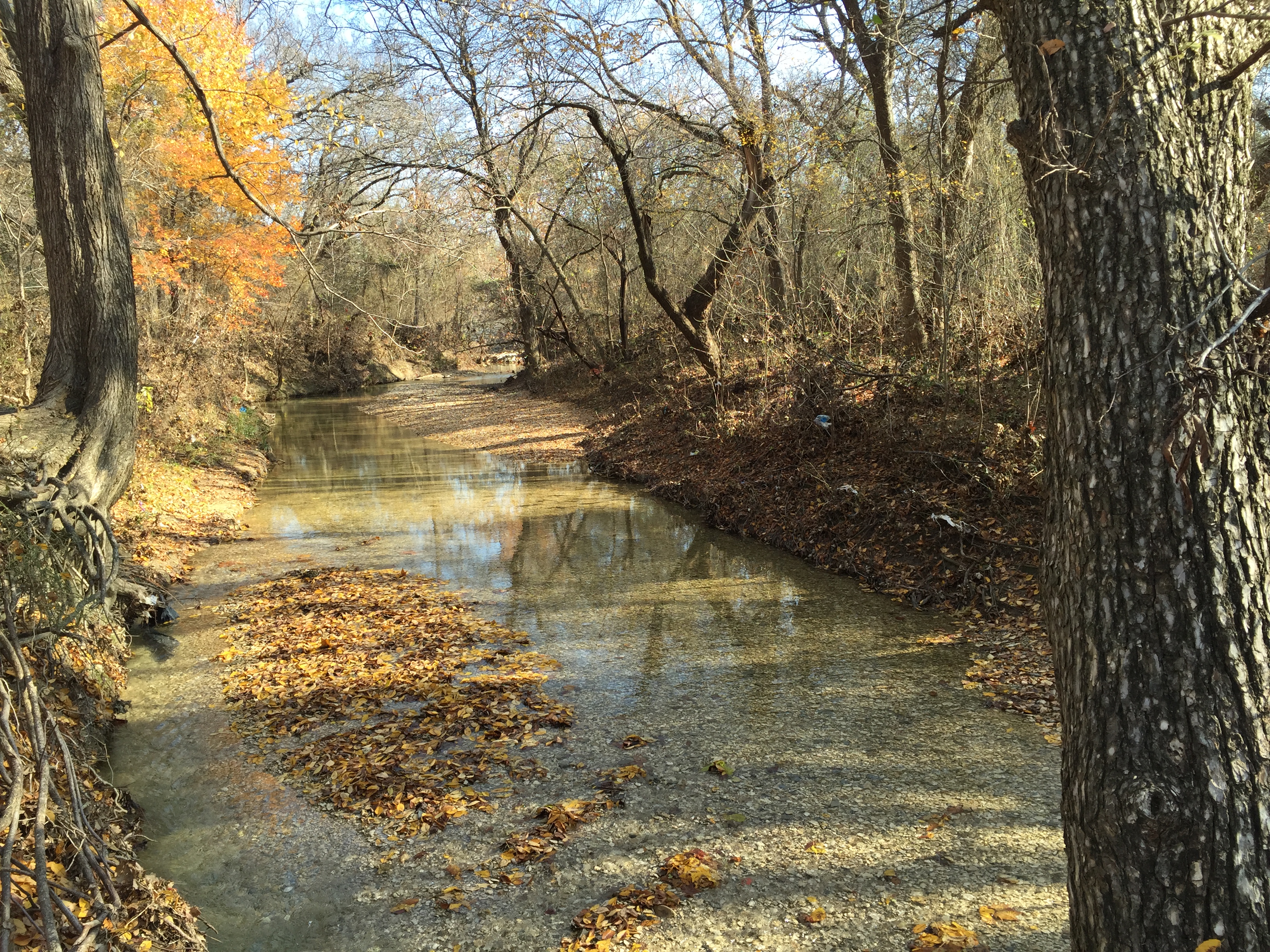 Hike through the Arbor Hills Nature - C0ec56767c543a34f44de0fae0d5d1bf