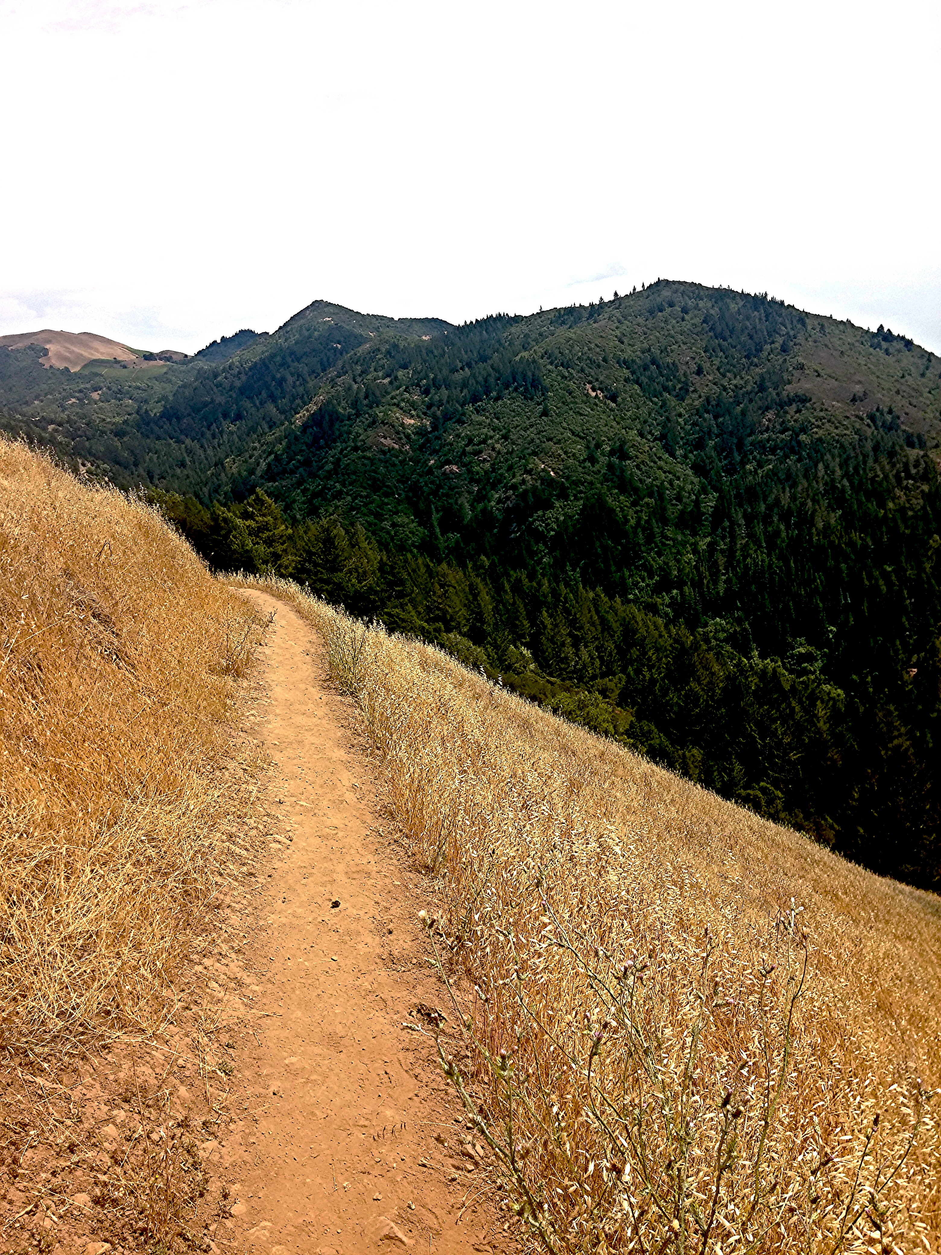 Gunsight Rock via Hood Mountain Trail