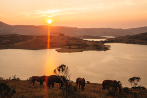 Hike and Fish at Nicasio Reservoir 