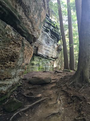 Hike the Ledges Trail in Cuyahoga National Park