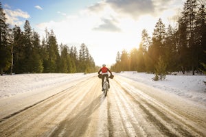 Fat Bike Maligne Lake Road