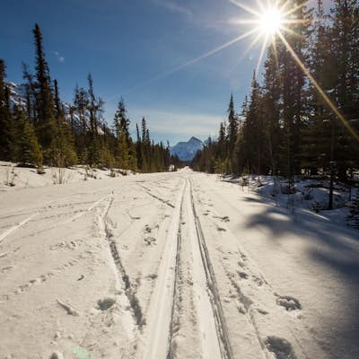 Cross-Country Ski to HI-Mount Cavell Hostel