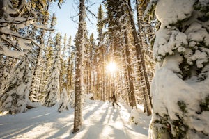 Cross-Country Ski to HI-Mount Cavell Hostel