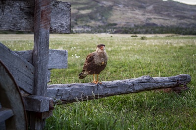 Backpack Torres Del Paine's "O" Circuit , Chile