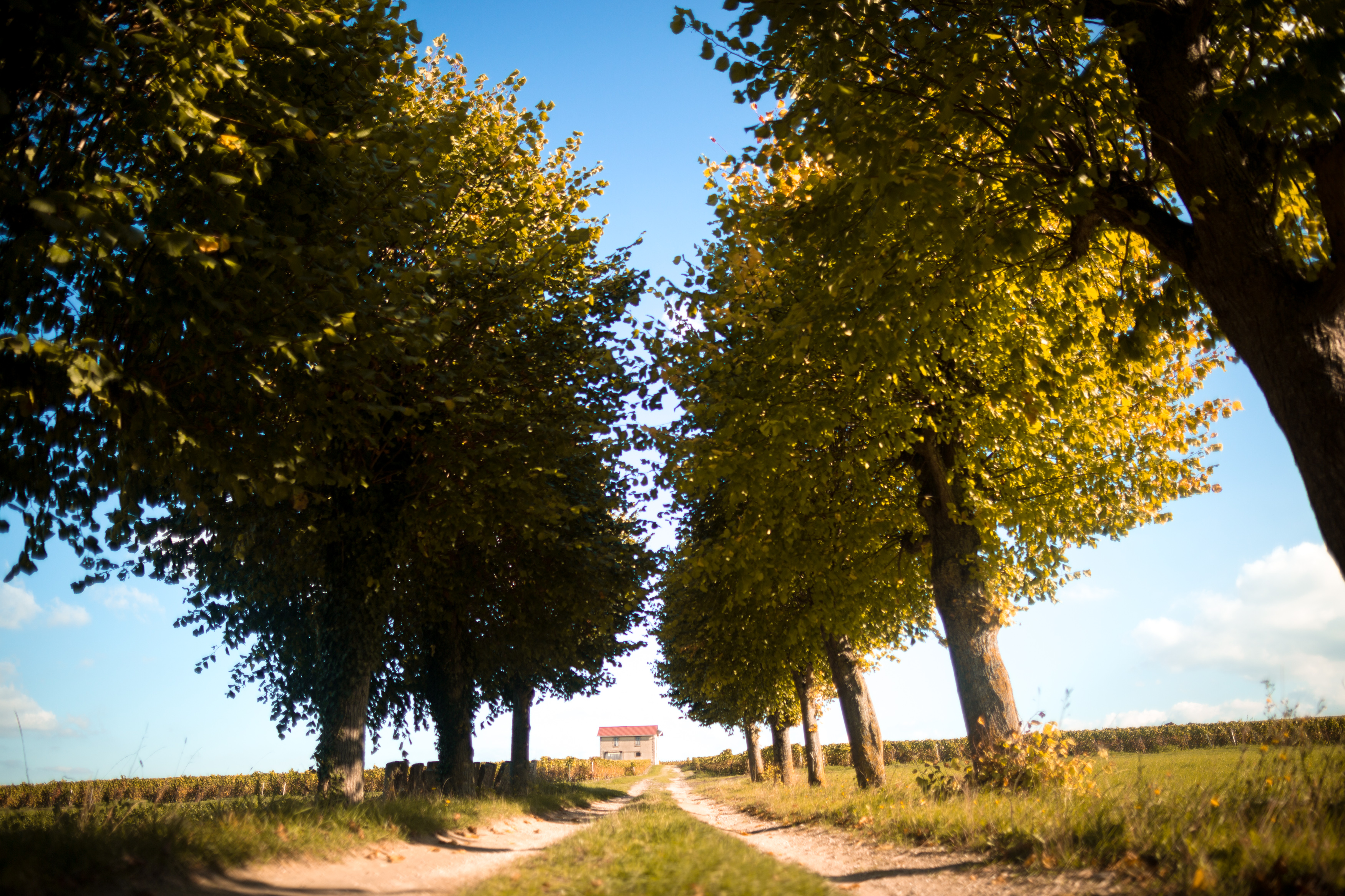 Bike along the Canal de la Marne a l'Aisne between Reims and Sillery