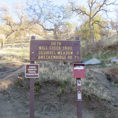 Hike the Mill Creek Trail to Breckenridge Road