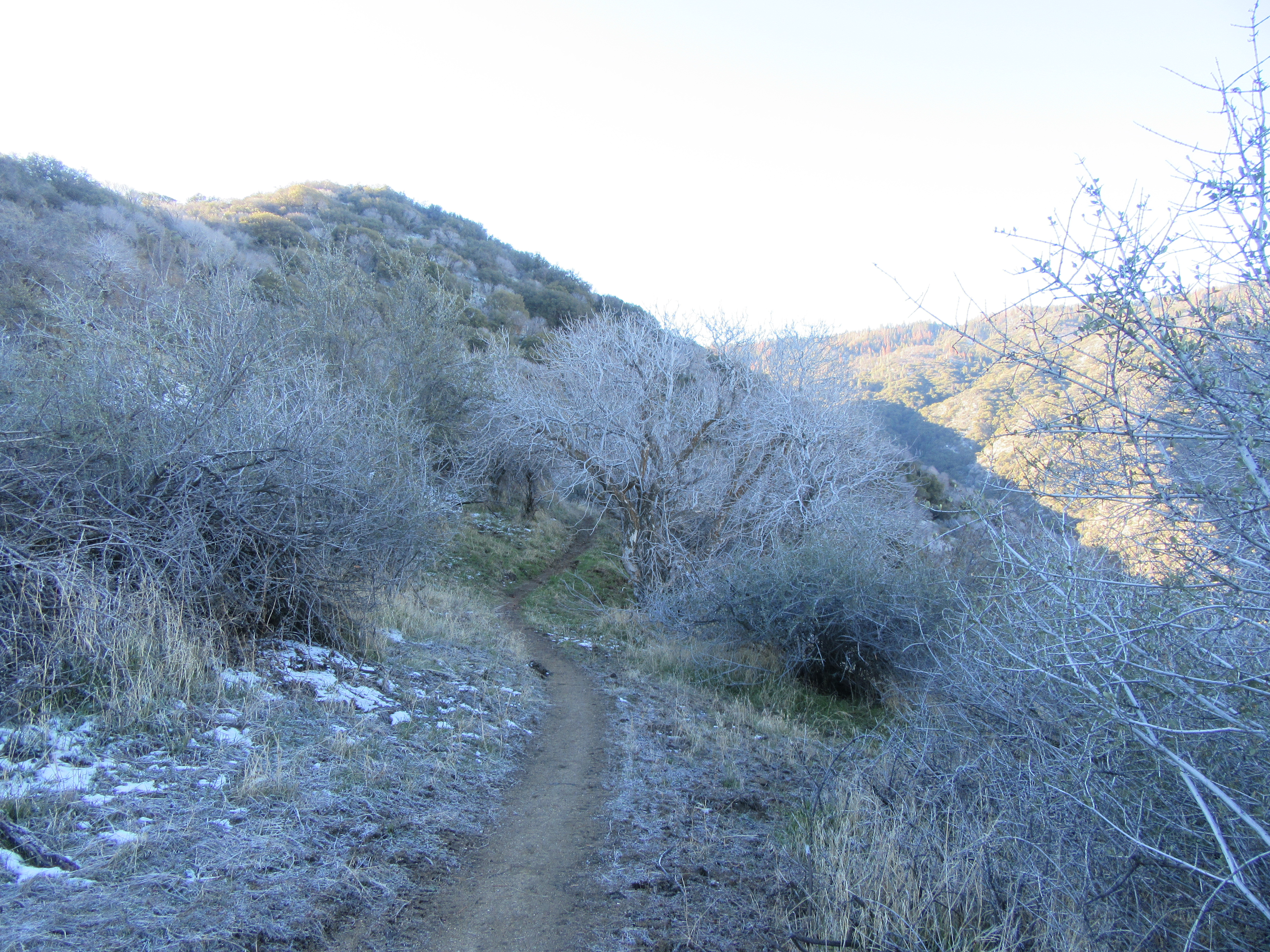 Hike the Mill Creek Trail to Breckenridge Road