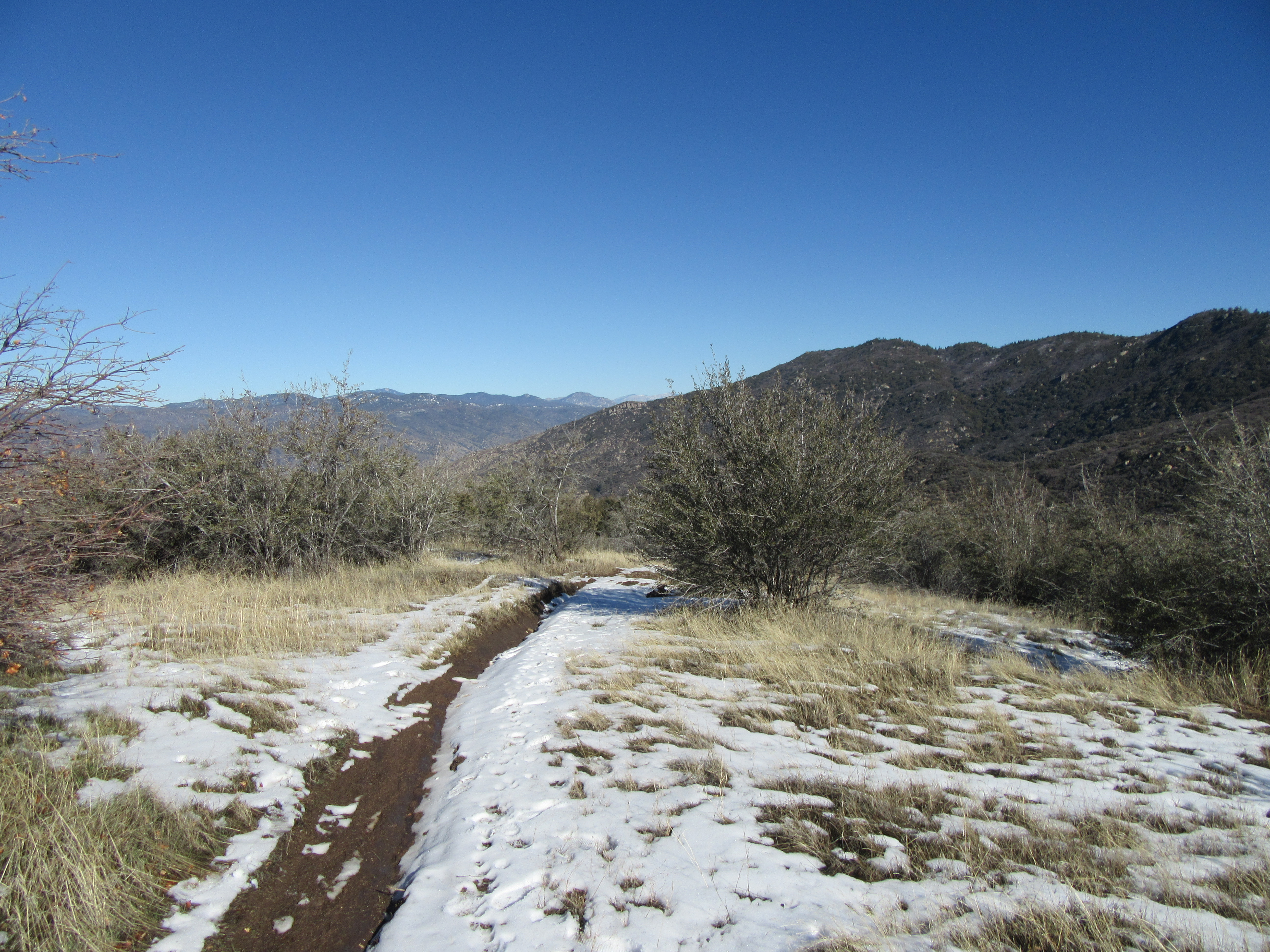 Hike the Mill Creek Trail to Breckenridge Road