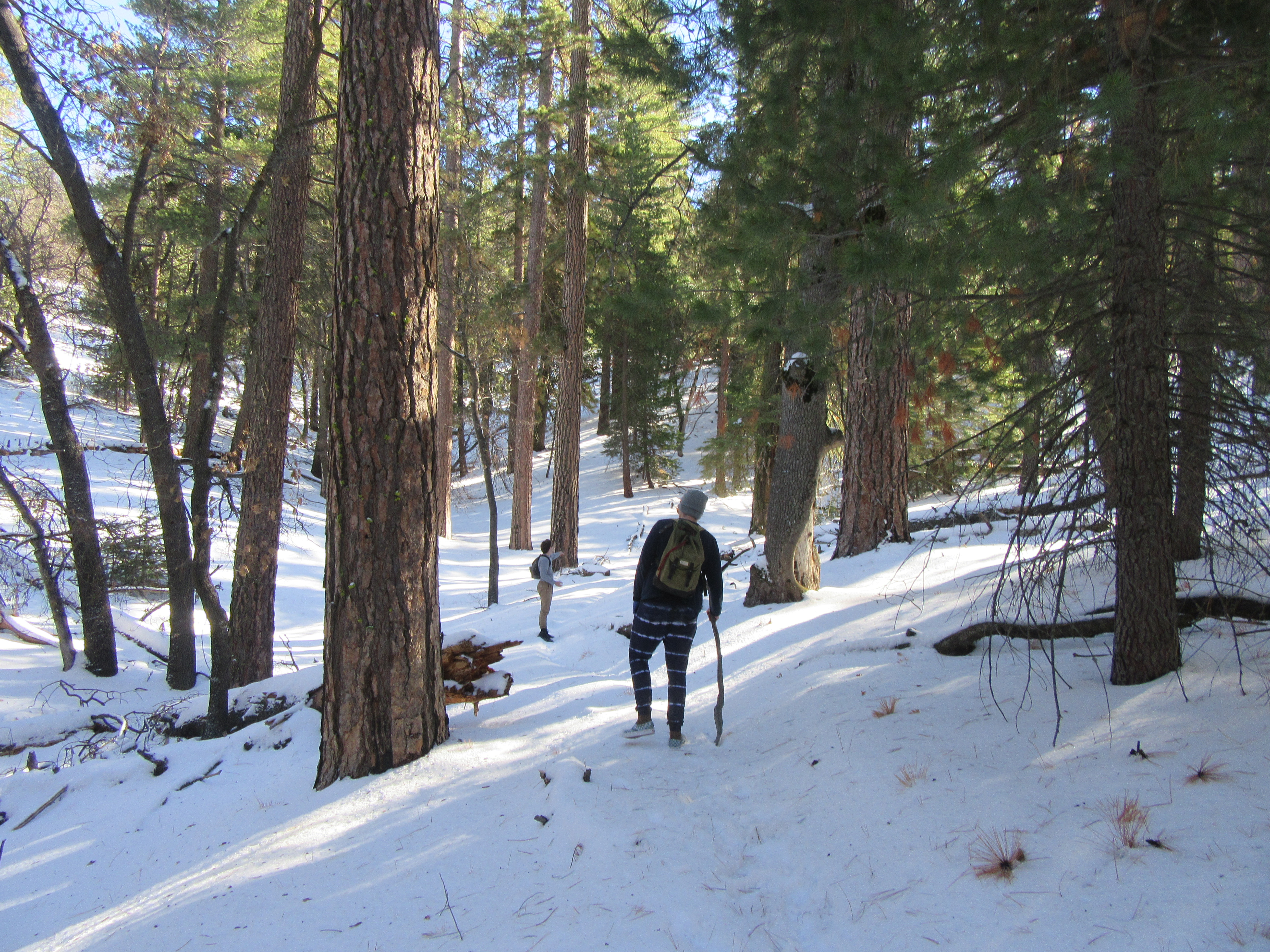 Hike the Mill Creek Trail to Breckenridge Road