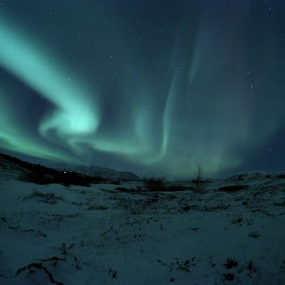 The Icelandic Aurora