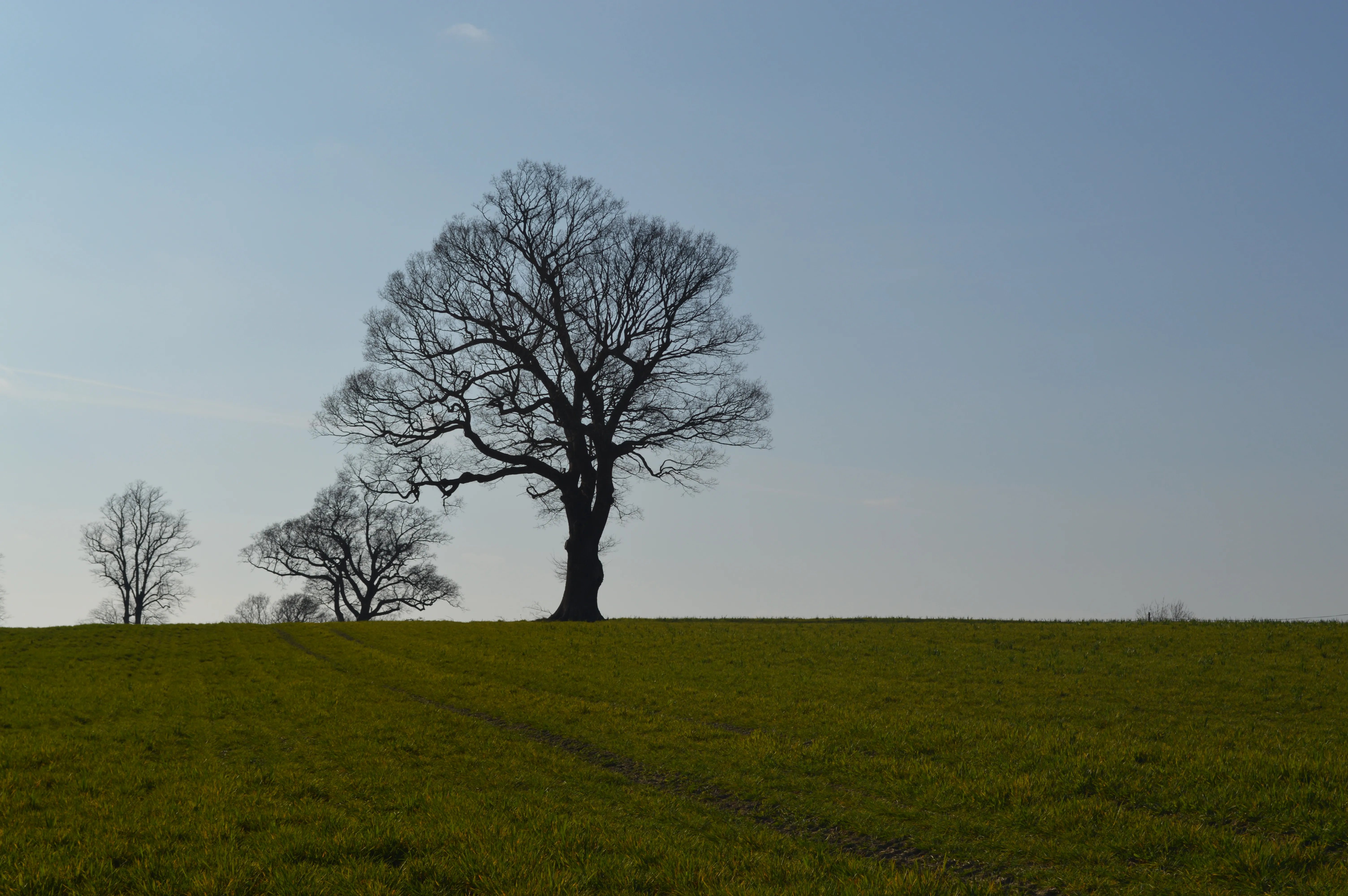 Go for a Historical Walk in English 1066 Countryside
