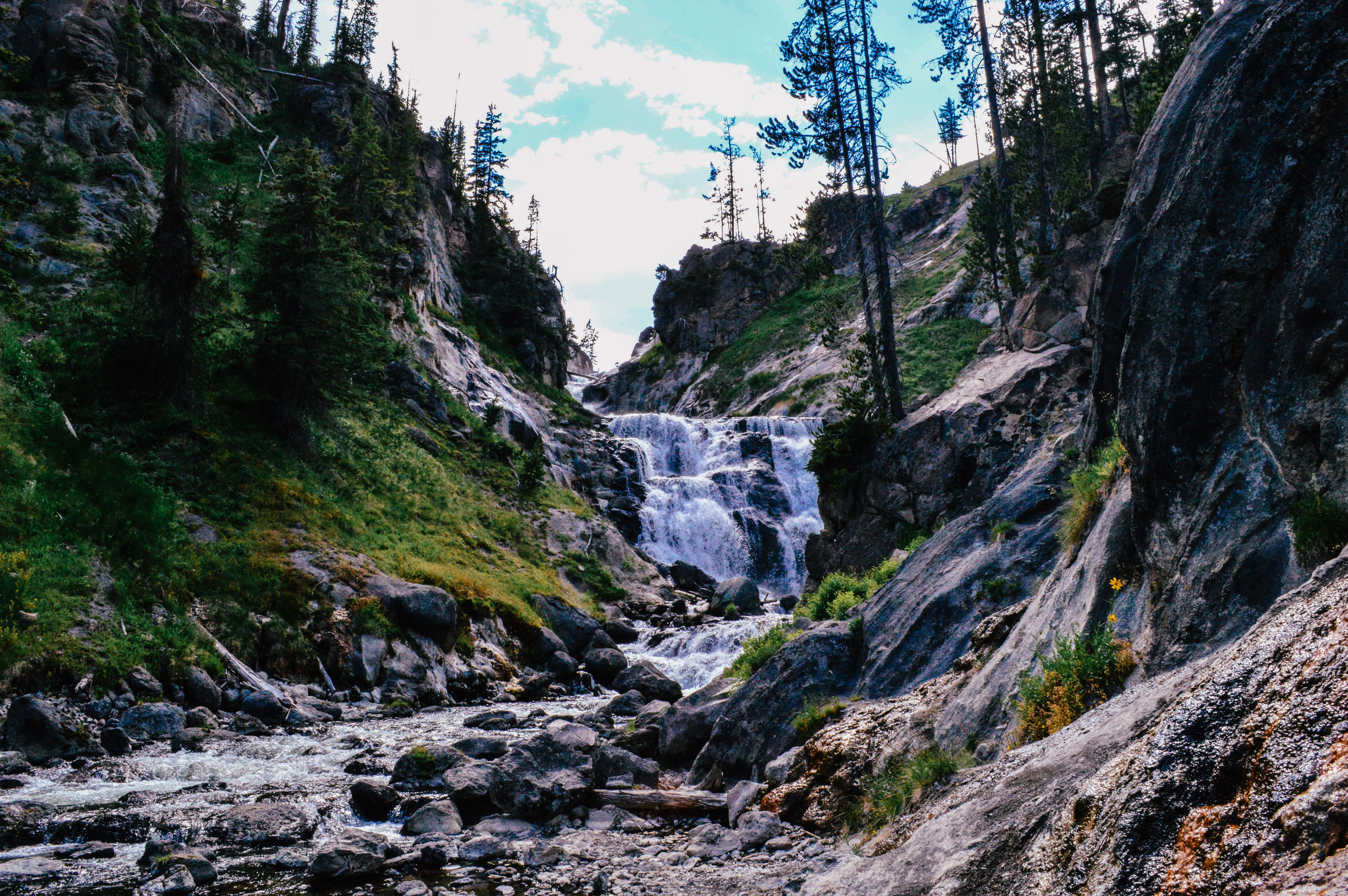 Mystic Falls Loop