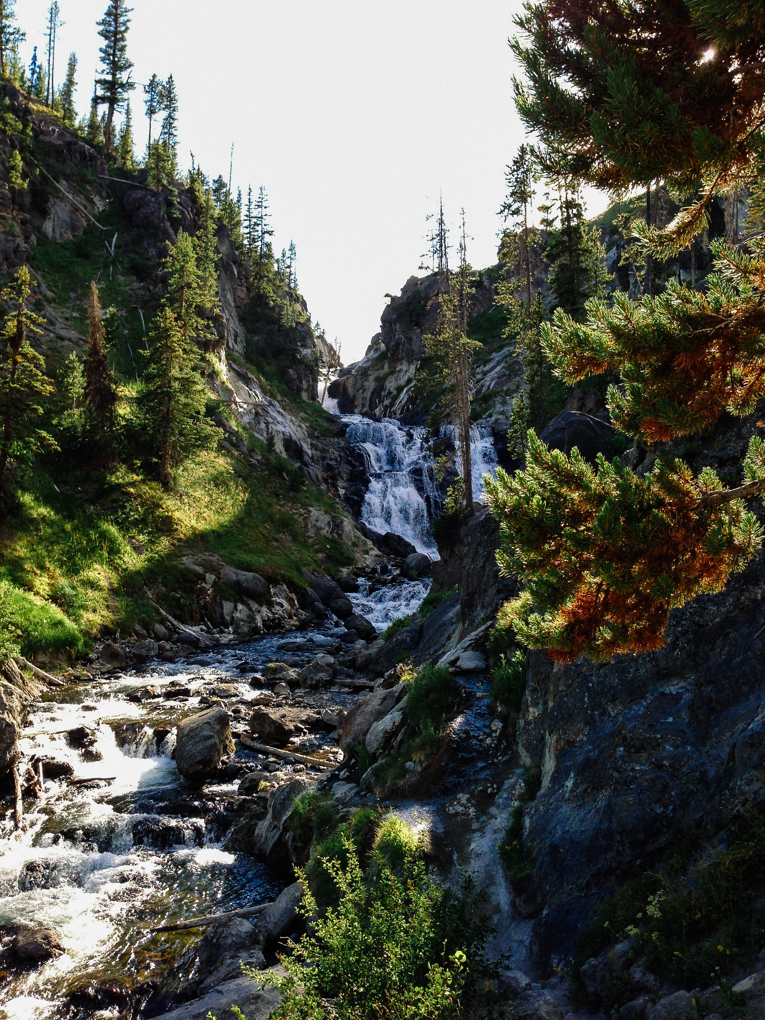 Mystic Falls Loop