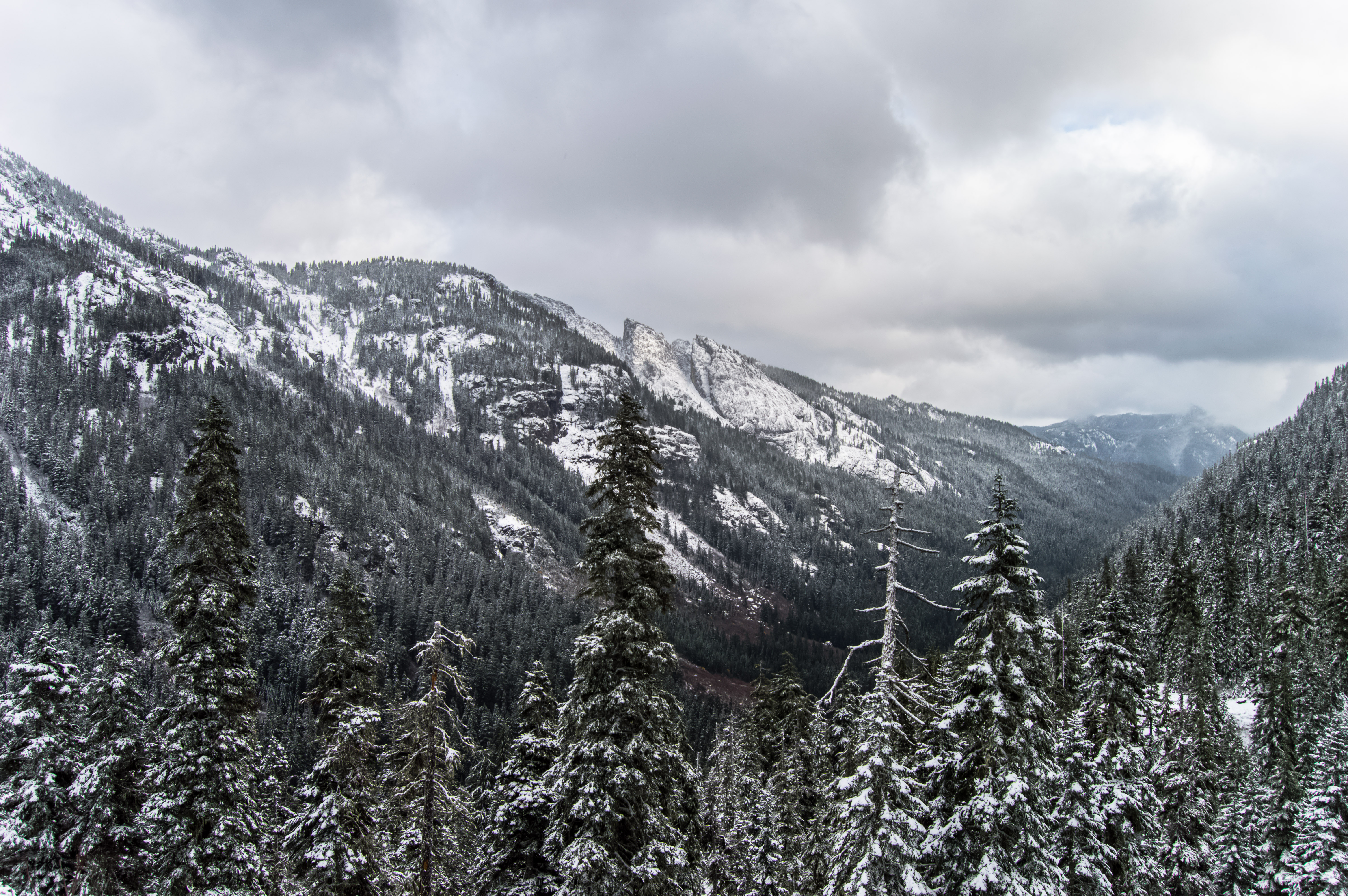 Snowshoe to Rachel Lake 