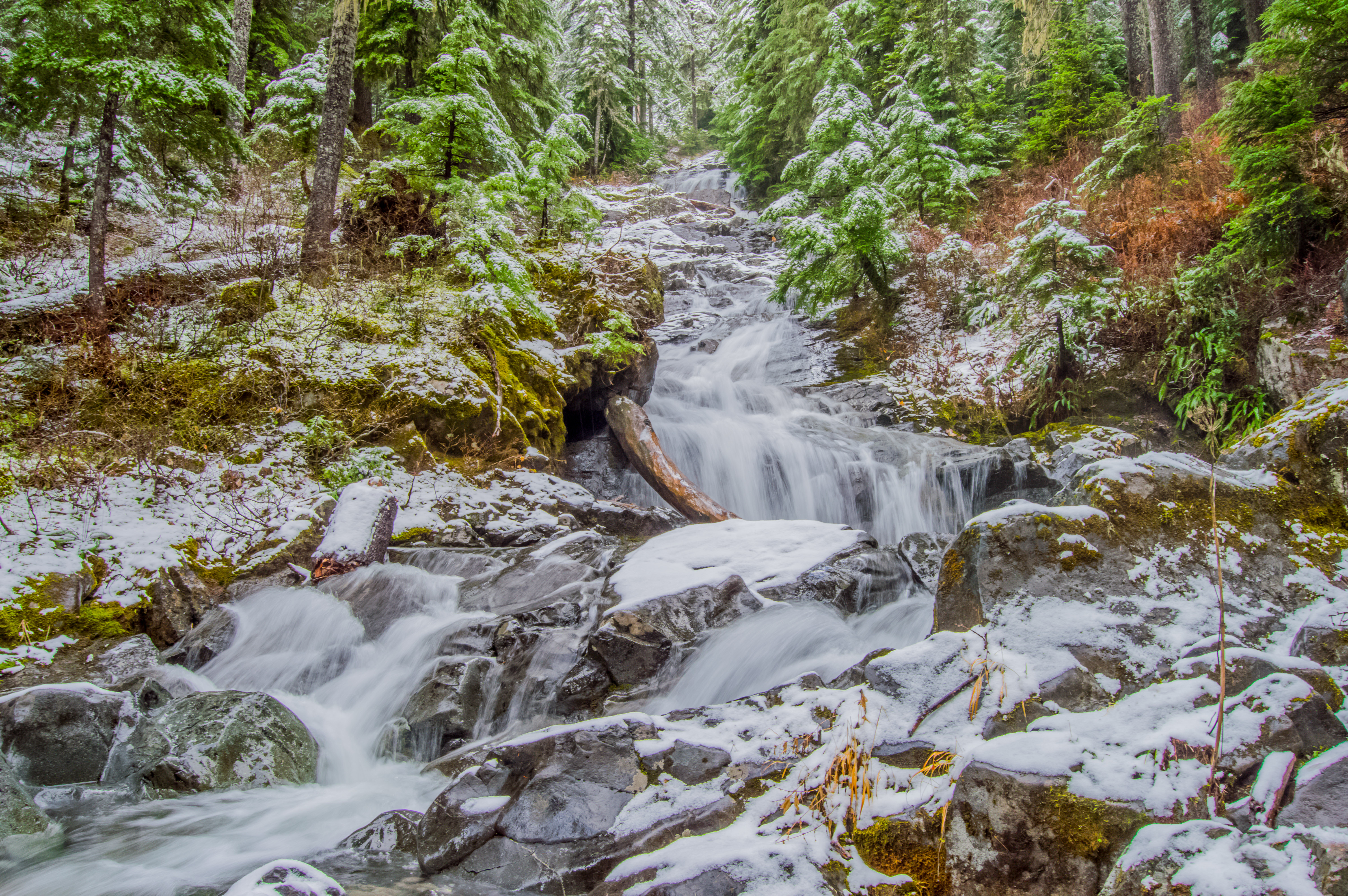 Snowshoe to Rachel Lake 