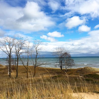 Hike the Lake Michigan Boardwalk