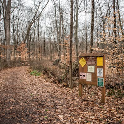 Hike through the Sourland Mountain Preserve